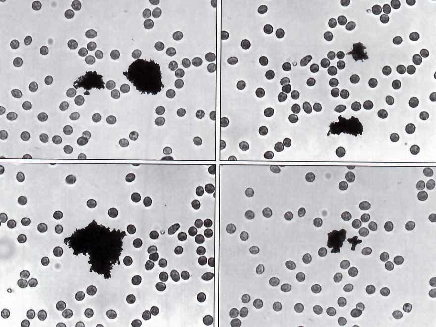 fig. 4 x 80 . sopra