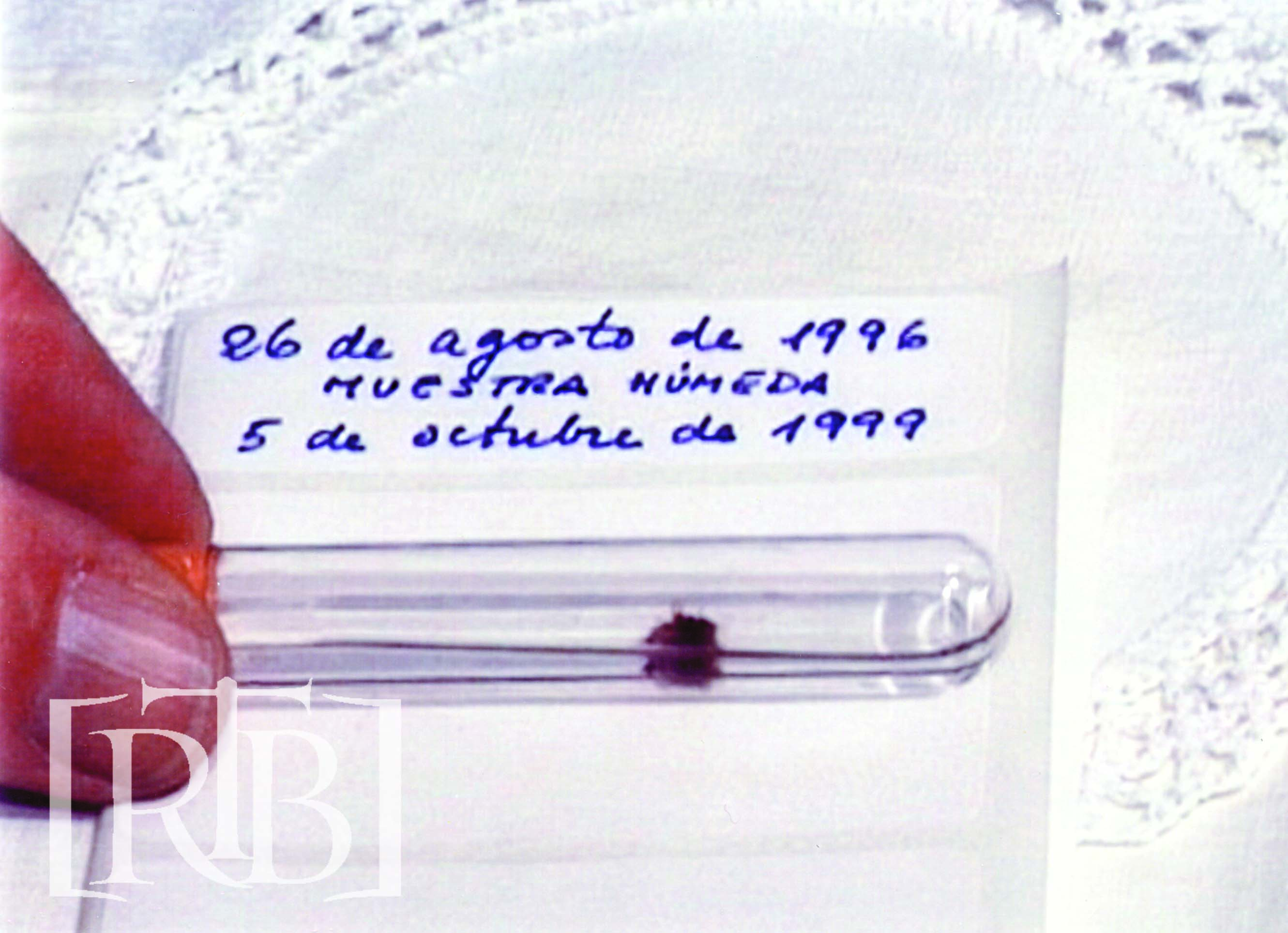 buenos aires miracle host sample vial